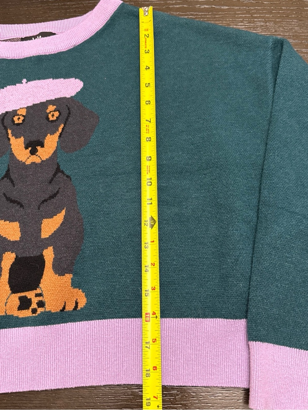 Dressed in LALA Teal Crewneck Sweater with Pink Trim & Dachshund Graphic - Picture 6 of 12